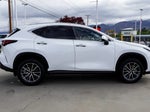 2024 NX 350 Thumbnail 8