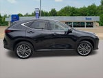 2022 NX 350h Thumbnail 6