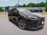 2022 NX 350h Thumbnail 7