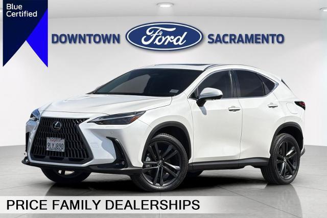 2024 Lexus NX
