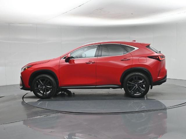2024 Lexus NX - $45,385