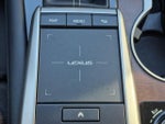 2022 RX 350L Thumbnail 24