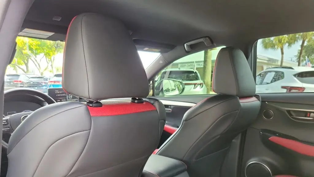 2020 Lexus NX 300 F SPORT