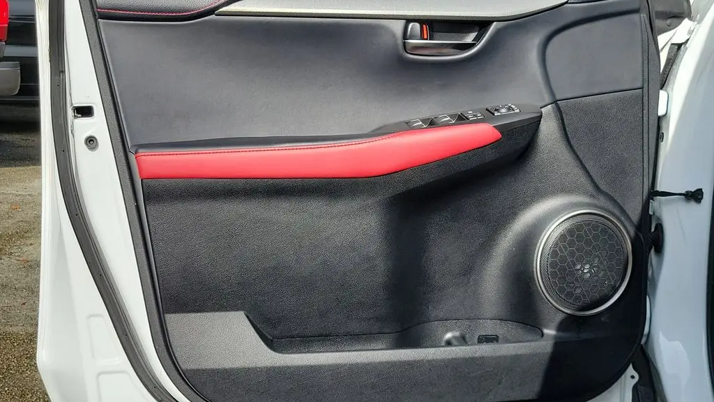 2020 Lexus NX 300 F SPORT