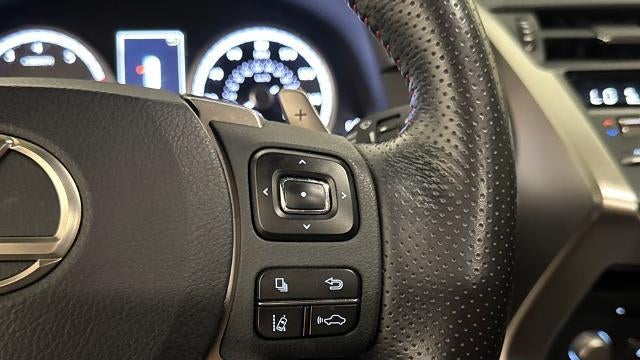 2020 Lexus NX 300 F SPORT