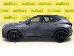 2023 NX 350 Thumbnail 13