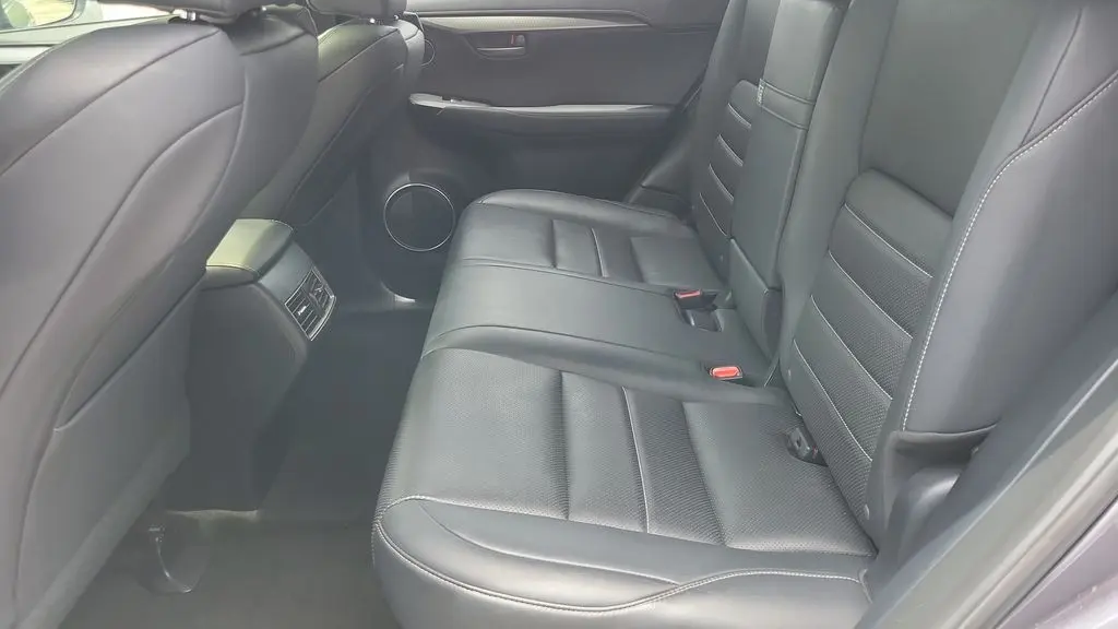 2020 Lexus NX 300 F SPORT