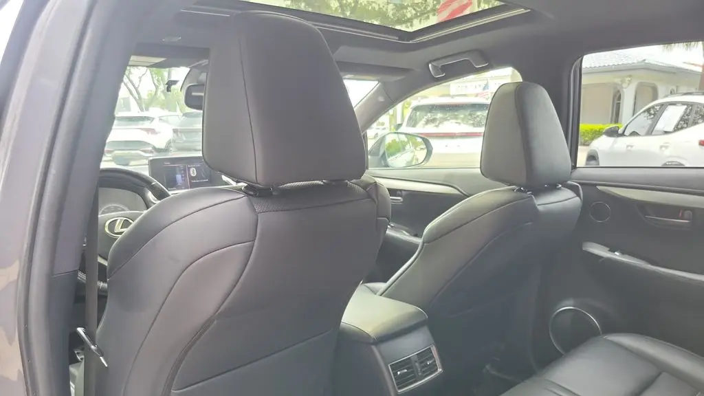 2020 Lexus NX 300 F SPORT