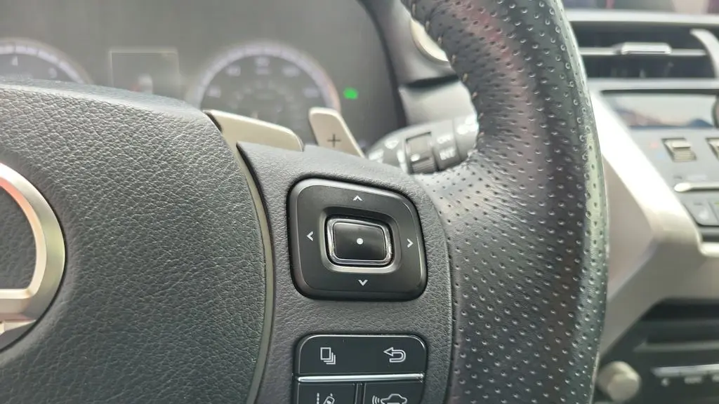 2020 Lexus NX 300 F SPORT