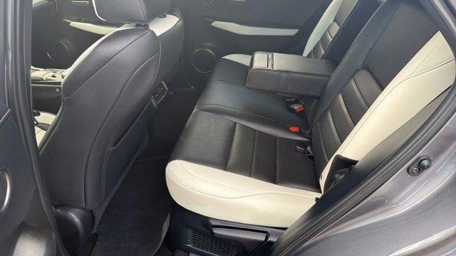 2021 Lexus NX 300 F SPORT