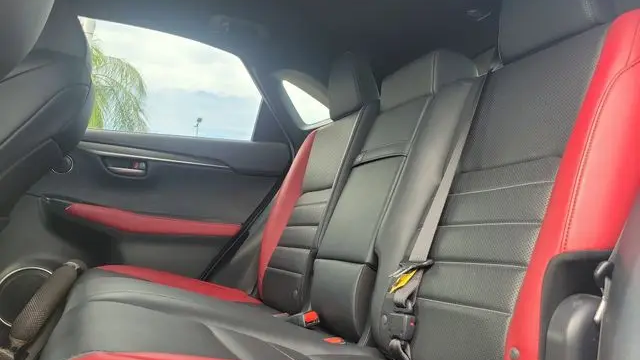 2021 Lexus NX 300 F SPORT