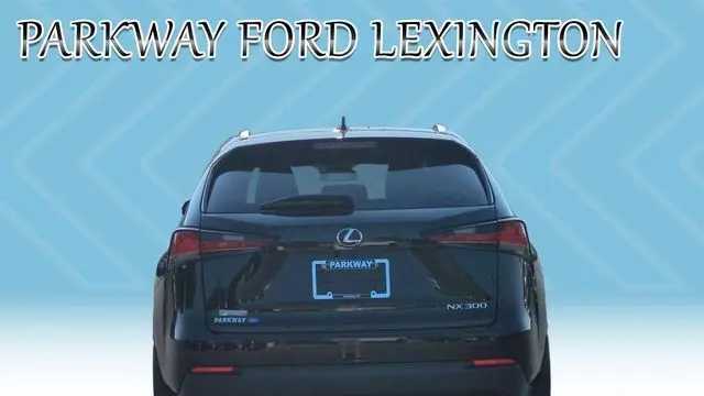 2021 Lexus NX 300 F SPORT
