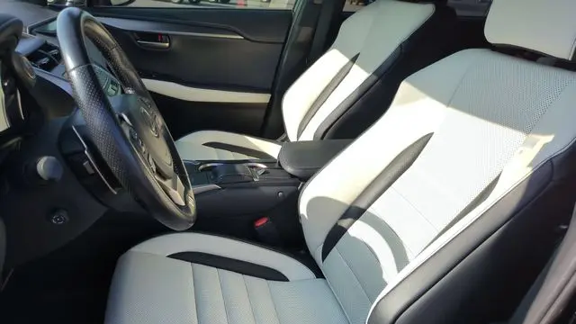 2021 Lexus NX 300 F SPORT