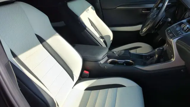 2021 Lexus NX 300 F SPORT
