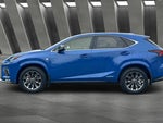 2021 NX 300h Thumbnail 8
