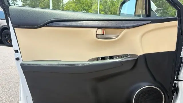 2018 Lexus NX 300 F SPORT