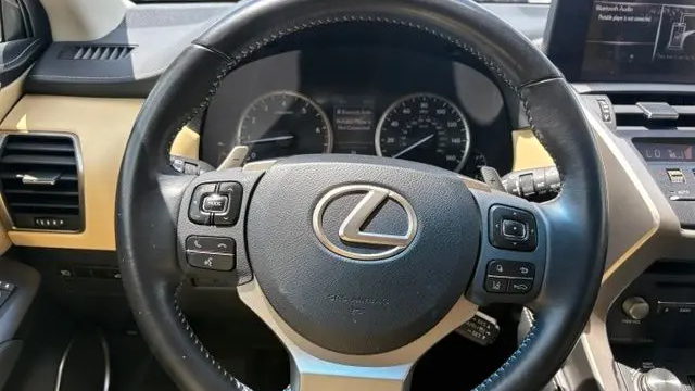 2018 Lexus NX 300 F SPORT