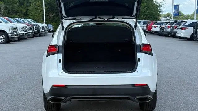 2018 Lexus NX 300 F SPORT