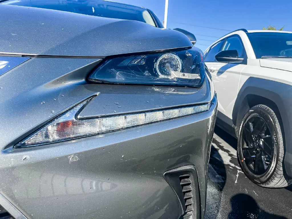 2019 Lexus NX - $20,888
