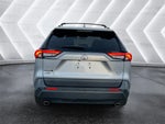 2019 RAV4 Thumbnail 29