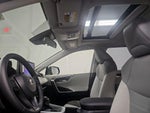 2025 RAV4 Thumbnail 19