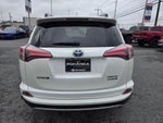 2018 RAV4 Hybrid Thumbnail 6