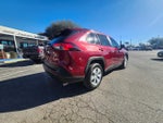 2019 RAV4 Thumbnail 3