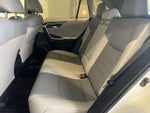 2019 RAV4 Thumbnail 7