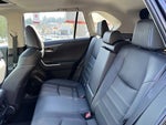 2025 RAV4 Thumbnail 11