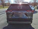 2019 RAV4 Thumbnail 3
