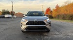 2019 RAV4 Thumbnail 19