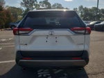 2019 RAV4 Thumbnail 6