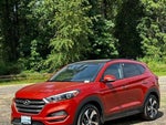2016 Tucson Thumbnail 5