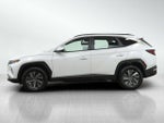 2024 TUCSON Hybrid Thumbnail 2
