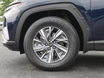 2024 TUCSON Hybrid Thumbnail 11