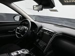 2024 TUCSON Hybrid Thumbnail 12