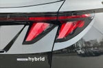 2025 TUCSON Hybrid Thumbnail 32