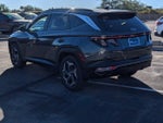 2024 TUCSON Hybrid Thumbnail 4