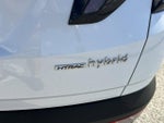 2024 TUCSON Hybrid Thumbnail 10