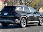2025 TUCSON Hybrid Thumbnail 4