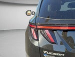 2025 TUCSON Hybrid Thumbnail 24