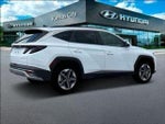 2025 TUCSON Hybrid Thumbnail 12