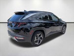 2024 TUCSON Hybrid Thumbnail 4