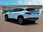 2024 TUCSON Hybrid Thumbnail 5