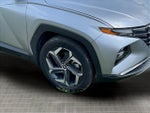 2024 TUCSON Hybrid Thumbnail 10
