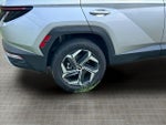 2024 TUCSON Hybrid Thumbnail 14