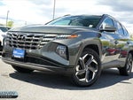 2024 TUCSON Hybrid Thumbnail 39