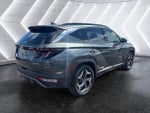 2024 TUCSON Hybrid Thumbnail 6
