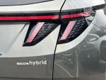 2025 TUCSON Hybrid Thumbnail 10