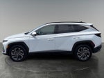 2025 TUCSON Hybrid Thumbnail 5